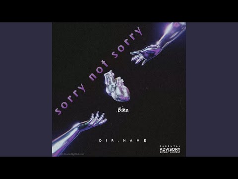 Sorry Not Sorry (feat. Vonno Baby)