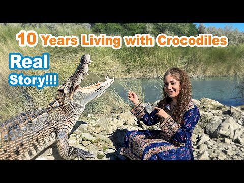 Unbelievable | The Man Who Feeds Crocodiles Every Day!