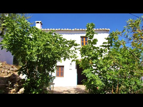 Casa Cinco Patios AX992