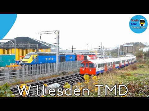 Trains At Willesden TMD
