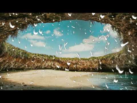 Ti Offro il Mio Bon Giorno e una Meravigliosa Giornata COSÌ #GLeEC No Copyright