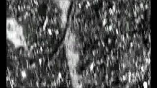 A ride with Nina - NABA