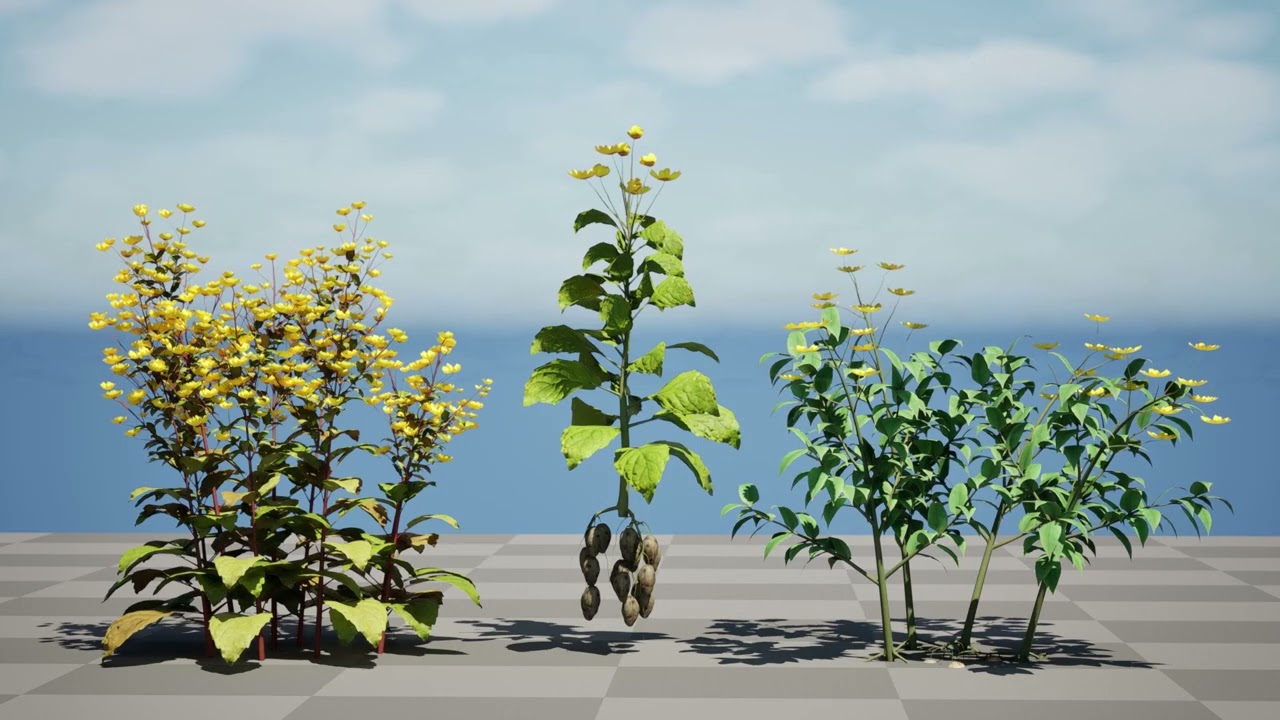 Pakiet karczoch&oacute;w jerozolimskich Model 3D