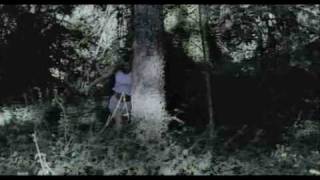 Flaw-Payback(Music Video)