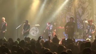 The Levellers   This Garden (LIVE) Reading 02/12/2015