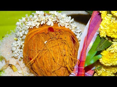 download lagu mp3 mp4 Kalyana Mangala Isai Free, download lagu Kalyana Mangala Isai Free gratis, unduh video klip Kalyana Mangala Isai Free