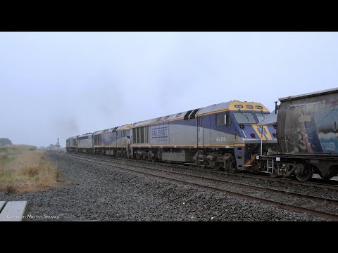 7962V SSR Grain Train With EL62 S311 EL56 EL55 (23/7/2023) - PoathTV Australian Railways & Railroads