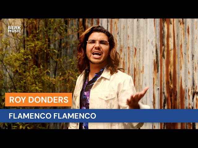 Roy Donders - Flamenco Flamenco