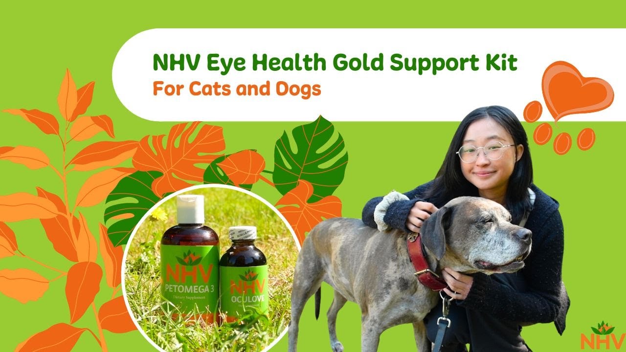 NHV Eye Health Gold Support Kit For Cats and Dogs