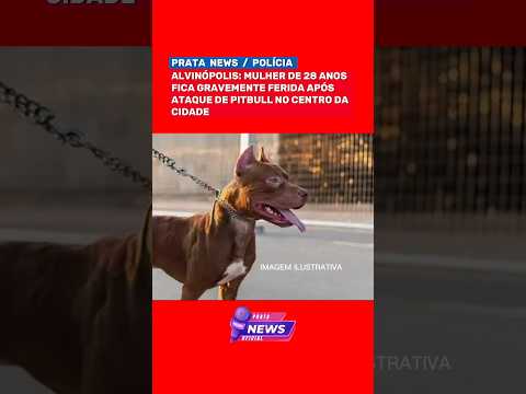 ALVINÓPOLIS: MULHER É ATACADA POR PITBULL NO CENTRO DA CIDADE