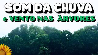 🌻DORMIR com a PAZ da NATUREZA - CHUVA | VENTO ||TROVOADAS Distantes🎧