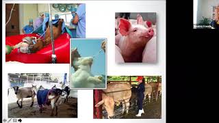 Reflexiones bioéticas sobre el uso de animales no humanos en la enseñanza