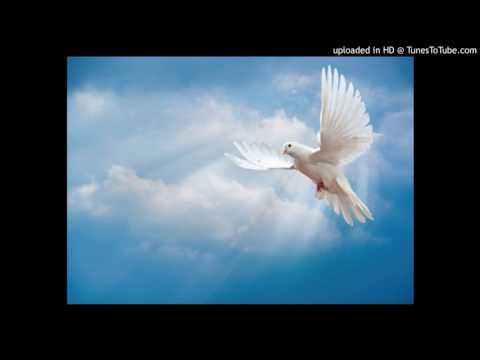 Te Tama Burannang by(Namaungaunga )