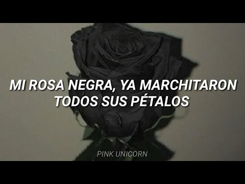 Mi Rosa Negra (Letra) || Porta