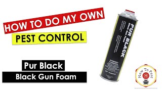 How To Keep Rats, Mice and Pests Out! Pur Black - Black Gun Foam - Todol Products