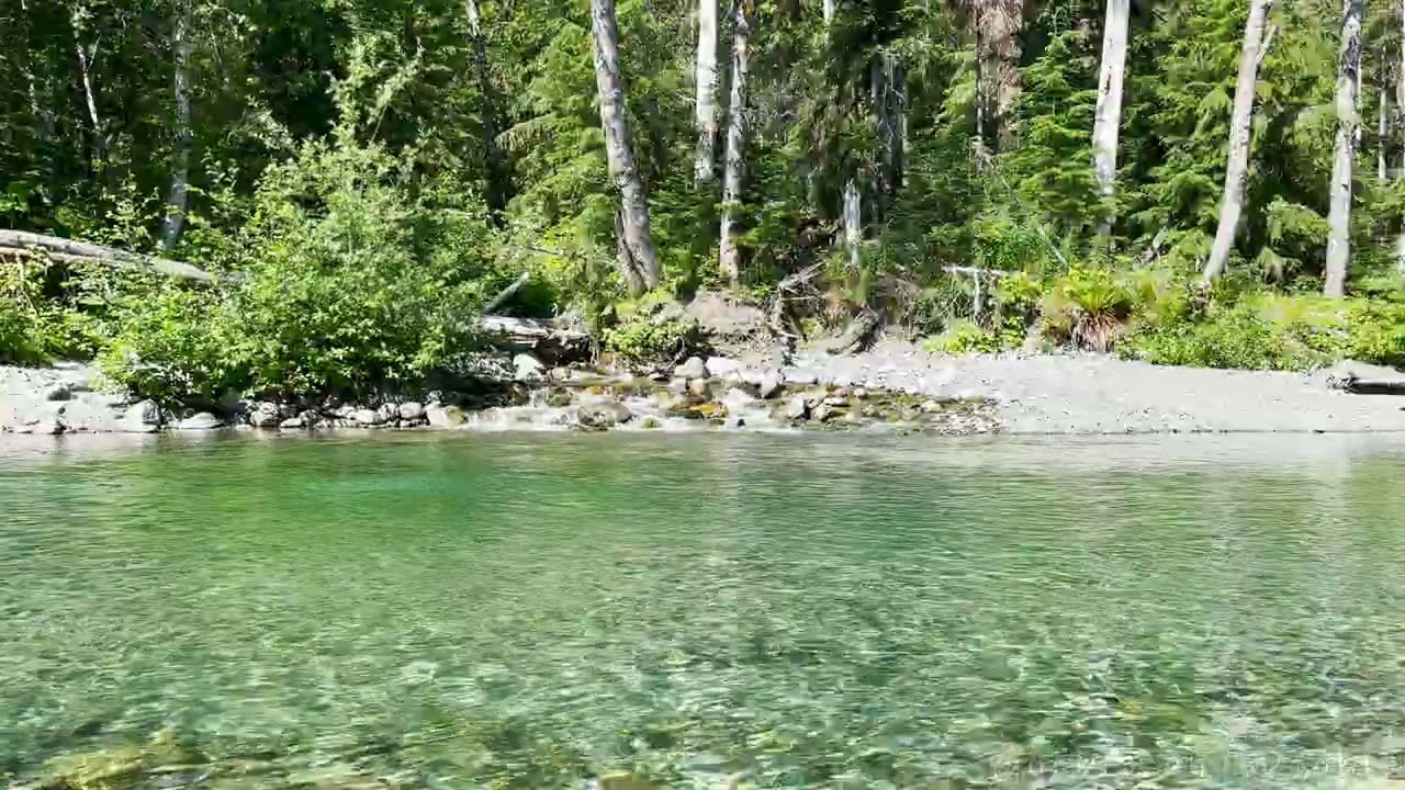 A Creek Becomes One With The River | Continuous No Loop | Sounds For Sleep Study Focus Relaxation