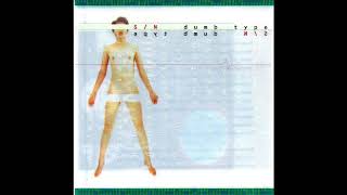 Dumb Type ‎– S/N   (Newsic ‎– 30CD-N022)