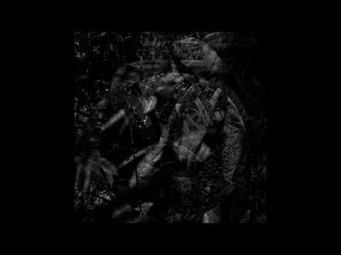 MTRL - Korriba Scar [IO:001]