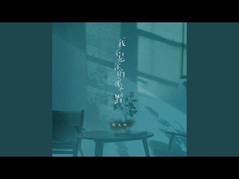 我不是你的宋冬野