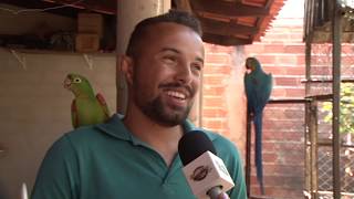 Miniatura do vídeo
