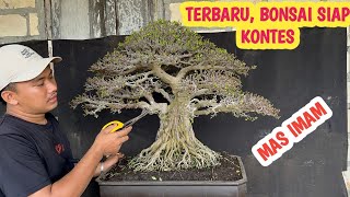 Download lagu TERBARU‼️HARGA BONSAI SIAP KONTES,BERINGIN IPRIK DLL📞 0831-1142-7220 @JeckpaeyBonsai91  mp3