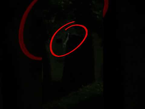 ŠTA JE OVO BILO?!😰