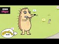 The Hedgehog Song | Nick Cope's Popcast | CBeebies