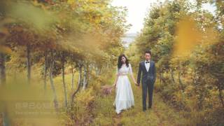 （輕電音）Chelsea Cutler - Sixteen 十六歲