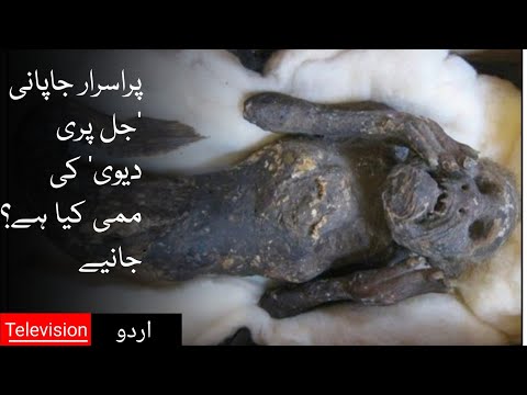 Mermaid Mummy story found in Tokyo Japan