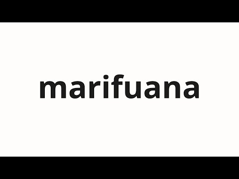 How to pronounce marifuana | マリフアナ (Marijuana in Japanese)