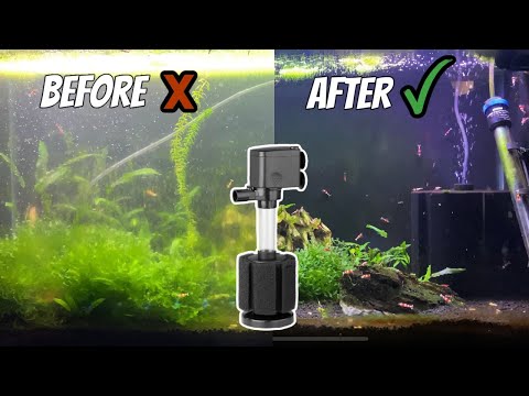 Cleaning a FILTHY Fish Tank! Dirty Aquarium Maintenance with POWERED Sponge Filter Hack
