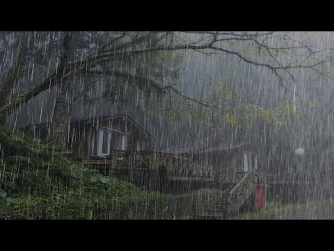 Sound of rain and thunder gives an instant deep sleep - Sound of rain relaxes in the foggy forest