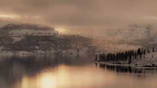 Plastic Stars -  Spitalfield