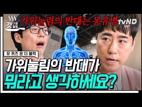 아이콘