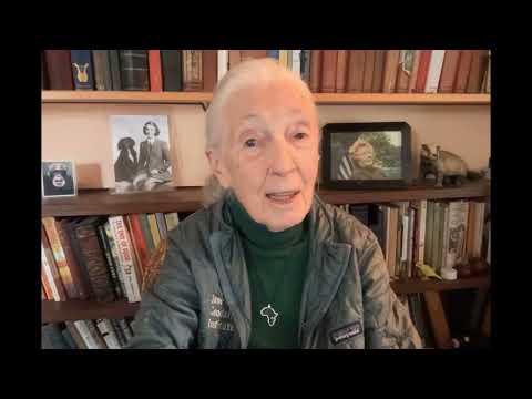 Dr. Jane Goodall's 2025 Earth Day Message