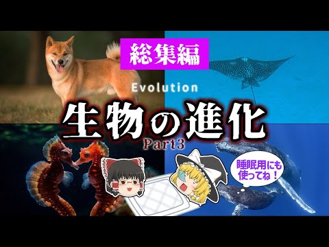 「角のある」ワニ:研究者らが進化の新たな分岐を明らかに