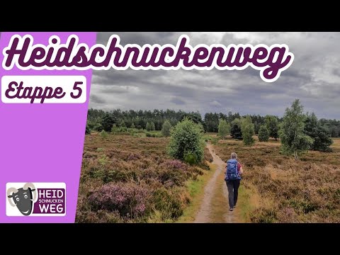 🐏Heidschnuckenweg🥾Etappe 5 - von Niederhaverbeck nach Bispingen