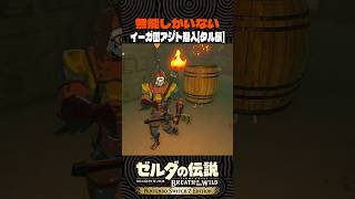 無能しかいないイーガ団アジト潜入 タル編【ゼルダの伝説 ブレワイ】