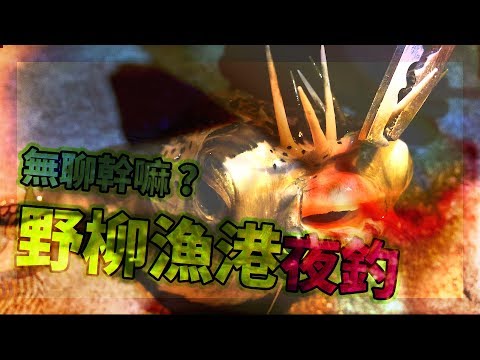 野柳漁港夜釣一下