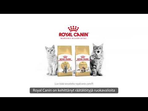 Royal Canin Bengal 10kg video