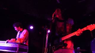 Painted Palms Chicago 6 27 14, Here It Comes