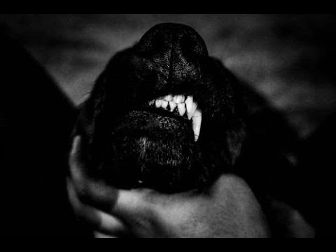 Grief Terravoid [All Network] (+120 ON) | #ViperSQ