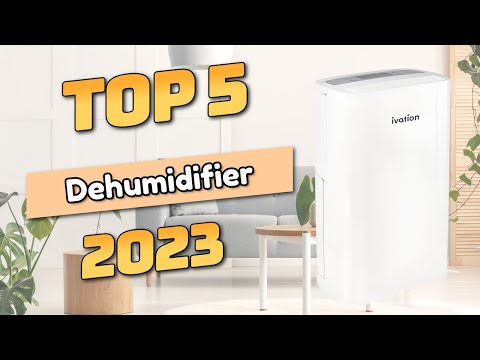 Best Dehumidifier 2023 (TOP5)