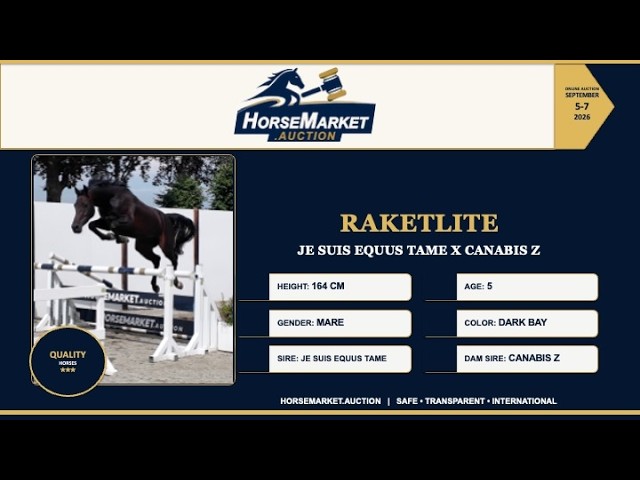 Raketlite