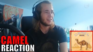 CAMEL - Freefall | REACTION/REVIEW