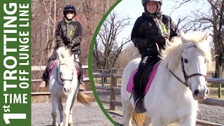 First Time Trotting Off Lunge Line | Crazy8Family