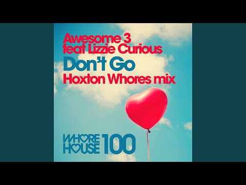 Don't Go (Hoxton Whores Remix) (feat. Lizzie Curious)