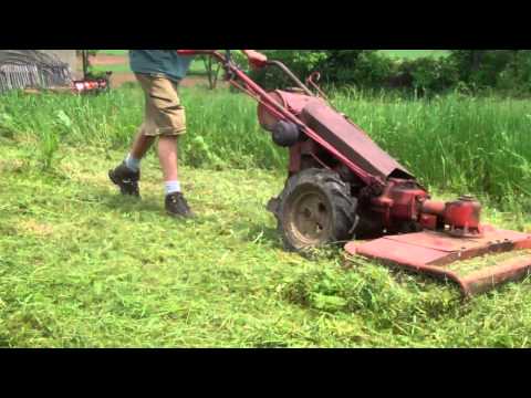 Gravely LI mowing VERY high grass and tall weeds