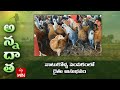 నాటుకోళ్ళ పెంపకంలో రైతు అనుభవం | Profitable Desi poultry farming b