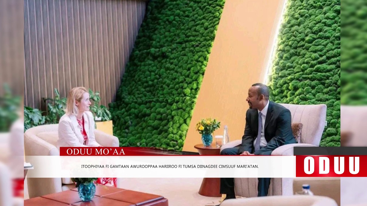 Mo'aa : Oduu Roobii  Galgalaa (Adoolessa 15 . 2026) Finfinnee
